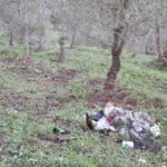 discarica nel boschetto