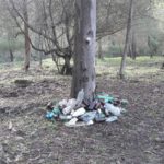 discarica nel boschetto