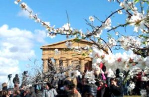 eventi sagra mandorlo in fiore